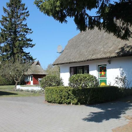 Ferienhaus Ilva In Born Villa Bagian luar foto